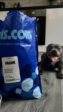 tails.com ad — 75% off your first tailored dog food box