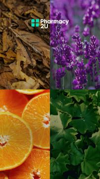 Pharmacy2U ad — Discover your signature scent at up to 73% off