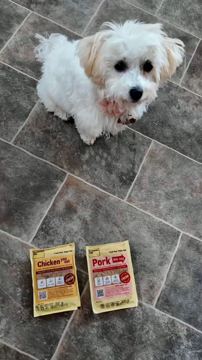Butternut Box ad — Fresh real food your dog will beg for