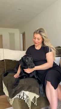 Pet Drugs Online ad — PetSaver Gold saves dog owners money on pet essentials